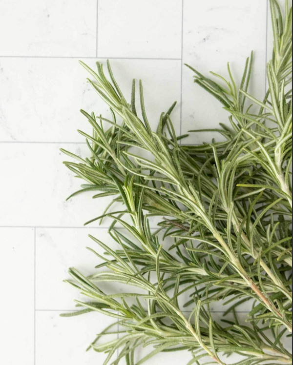 Rosemary